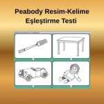 Peabody Resim-Kelime Testi Bursa